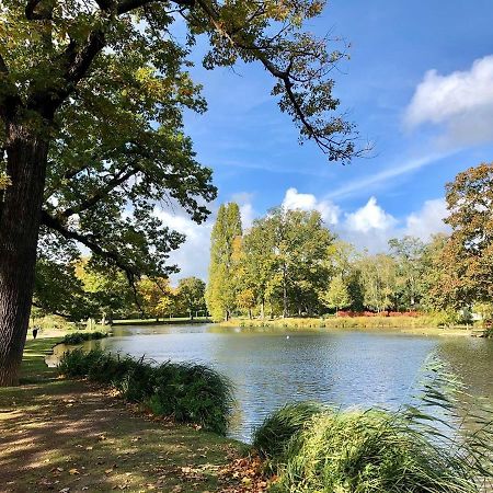 Studio Au Calme Dans Jardin A 30Min De Paris Avec Nouvelle Literie Chatou Exterior photo